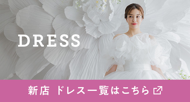 ドレス一覧